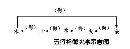 阴阳五行学说插图5